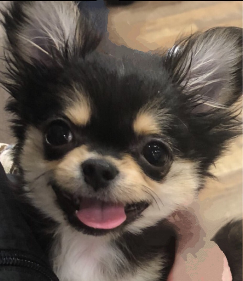 のんちゃん